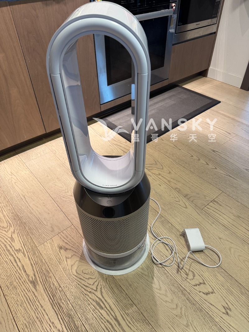 250330170338_Dyson 1.jpeg